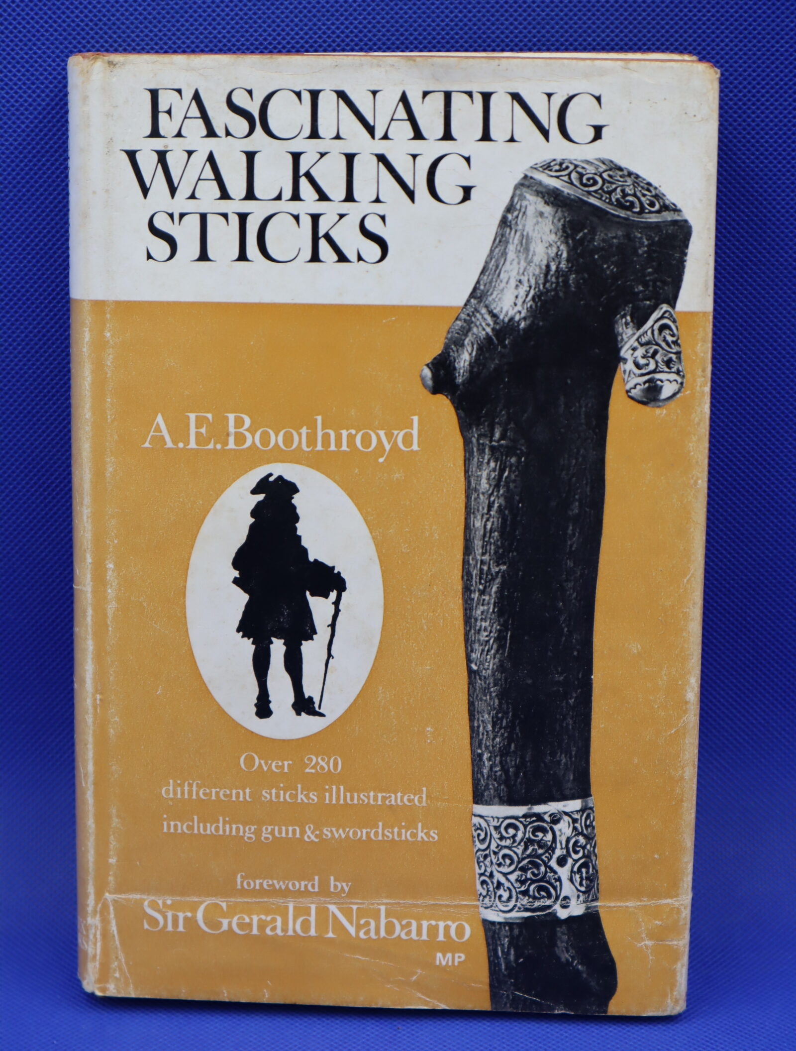 Fascinating Walking Sticks Book