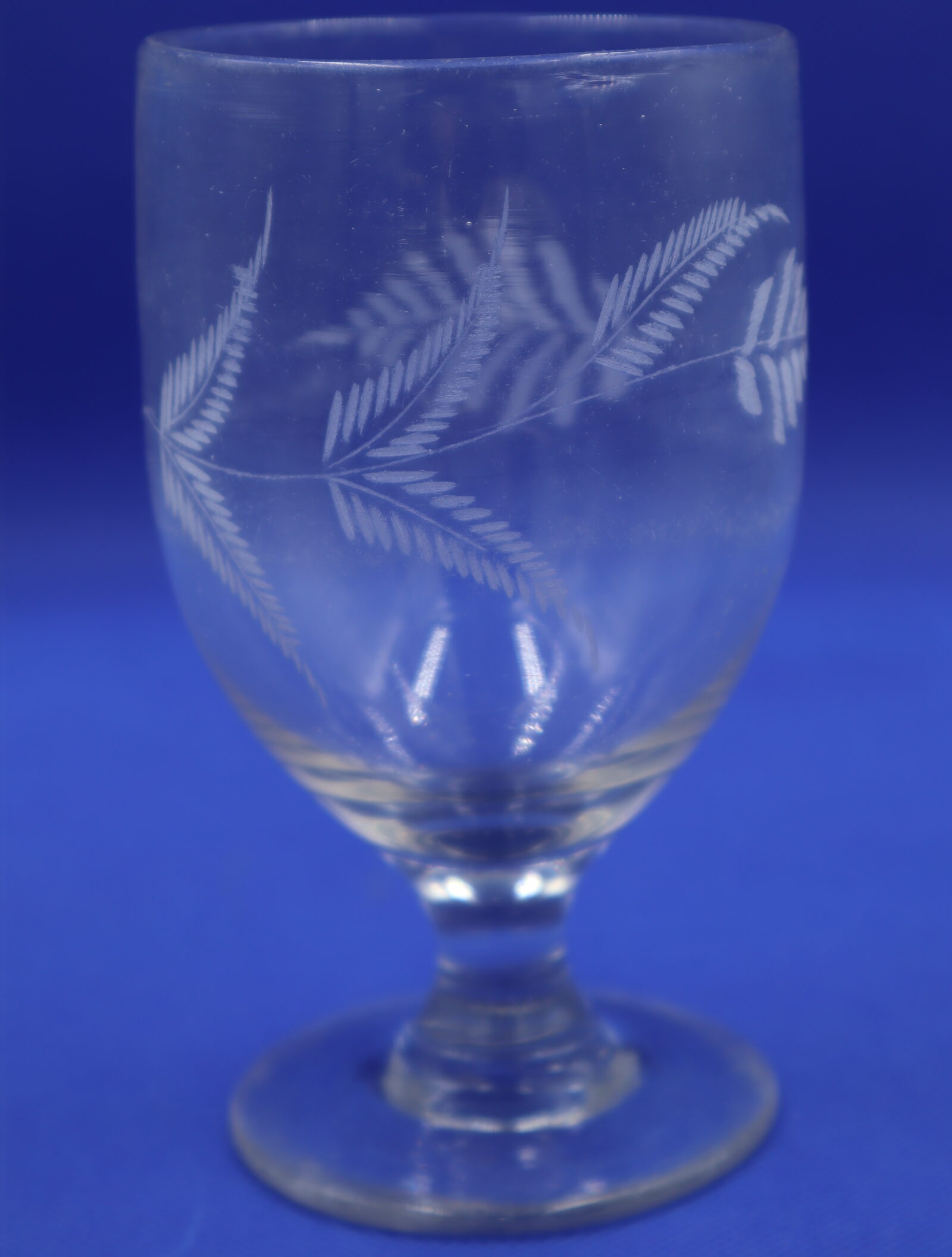 Fern decorated Victorian Rummer Glass